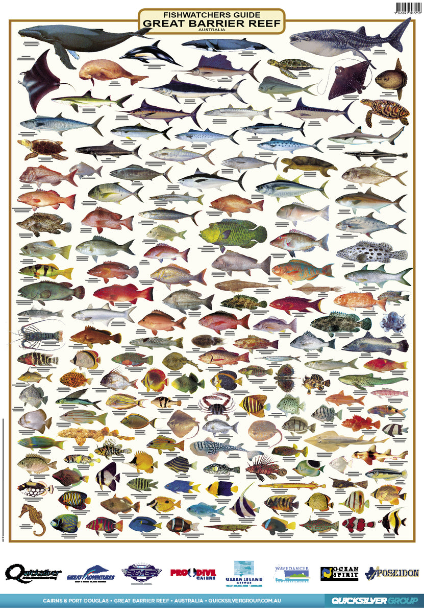 CFWA - Fish of Western Australia Double Sided B2 Chart Poster
