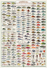 QLD Boating, Fishing, Camtas Marine Safety Chart - KEPPEL BAY, Black Head, Curtis Island to Corio Bay / MC629