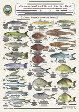 Fishers Fish Identification Cards (Slates) - Qld. & Great Barrier Reef Fisherman's Tackle Box Companion Guide / FG016