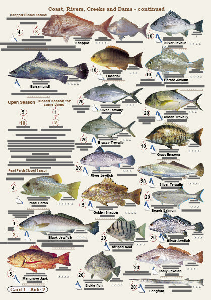 Fishers Fish Identification Cards - Qld. & Great Barrier Reef Fisherma ...