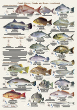 Fishers Fish Identification Cards (Slates) - Qld. & Great Barrier Reef Fisherman's Tackle Box Companion Guide / FG016