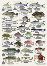 Fishers Fish Identification Cards (Slates) - Qld. & Great Barrier Reef Fisherman's Tackle Box Companion Guide / FG016