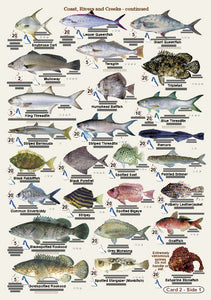 Fishers Fish Identification Cards (Slates) - Qld. & Great Barrier Reef Fisherman's Tackle Box Companion Guide / FG016