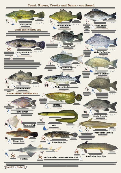 Fishers Fish Identification Cards - Qld. & Great Barrier Reef Fisherma ...