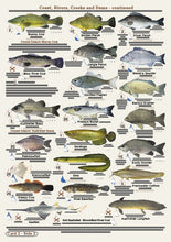 Fishers Fish Identification Cards (Slates) - Qld. & Great Barrier Reef Fisherman's Tackle Box Companion Guide / FG016