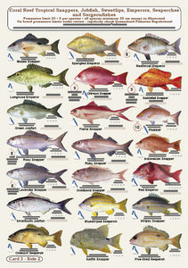 Fishers Fish Identification Cards (Slates) - Qld. & Great Barrier Reef Fisherman's Tackle Box Companion Guide / FG016