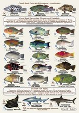 Fishers Fish Identification Cards (Slates) - Qld. & Great Barrier Reef Fisherman's Tackle Box Companion Guide / FG016