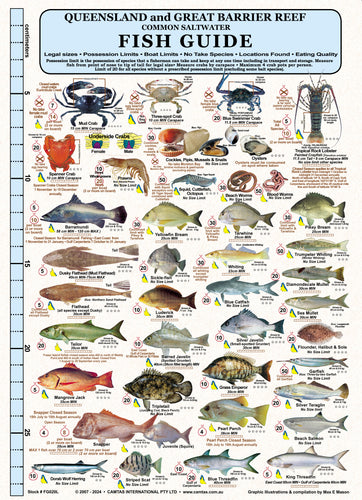 Fishers Fish Identification Card (Slate) - Qld & Great Barrier Reef / FG020L