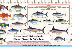 Fish Illustrations & Length Measure Decal/Sticker - New South Wales - FG052S