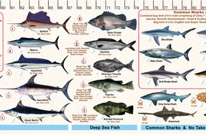 Fish Illustrations & Length Measure Decal/Sticker - New South Wales - FG052S