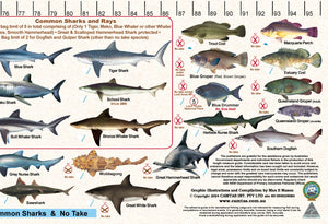 Fish Illustrations & Length Measure Decal/Sticker - New South Wales - FG052S