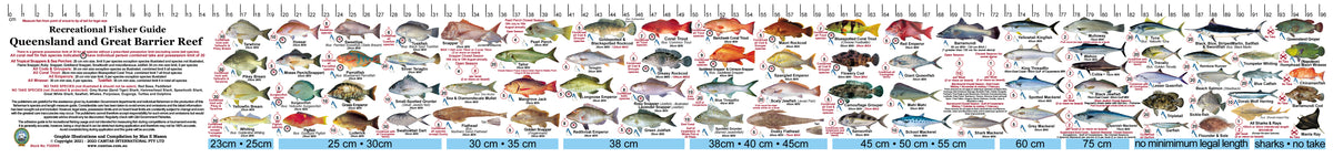 Qld Fish Measurements Fish Illustrations & Length Measure Decal/Sticker - Qld and Great Barr ...