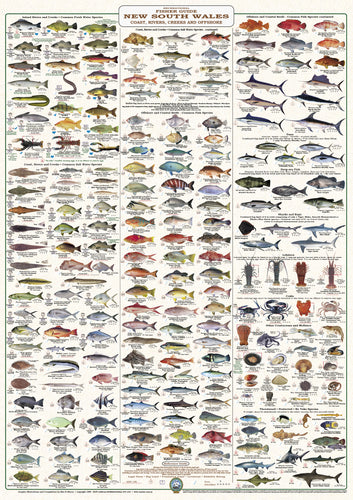 Fish Identification - New South Wales Fishers Guide - Wall Chart (222 Illus.) / WC160