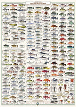 QLD Boating, Fishing, Camtas Marine Safety Chart - K'GARI (FRASER ISLAND), GREAT SANDY STRAIT, HERVEY BAY/ MC600