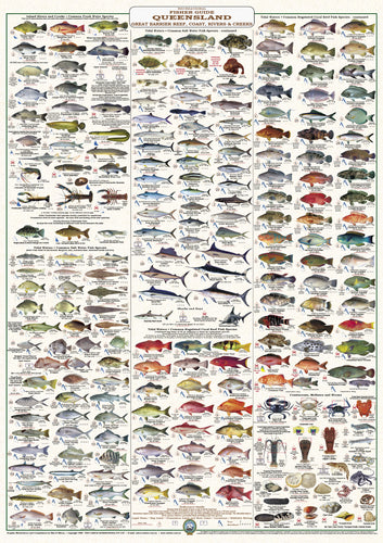 Fish Identification - Qld. and Great Barrier Reef, Fisherman's Guide - Wall Chart (230 Illus.) / WC170