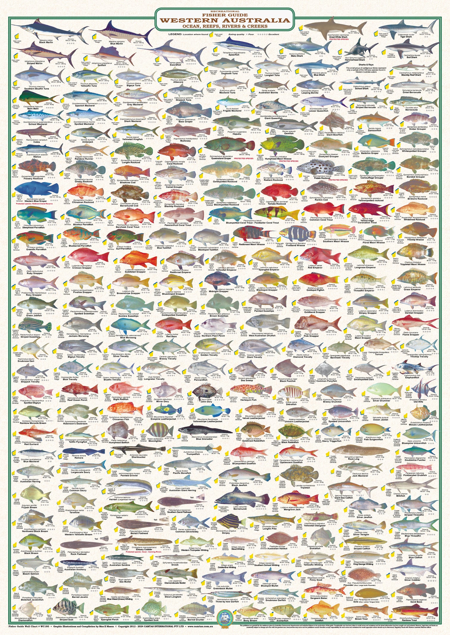 Fish Identification - Fisher Guide Western Australia - Wall Chart (258 ...