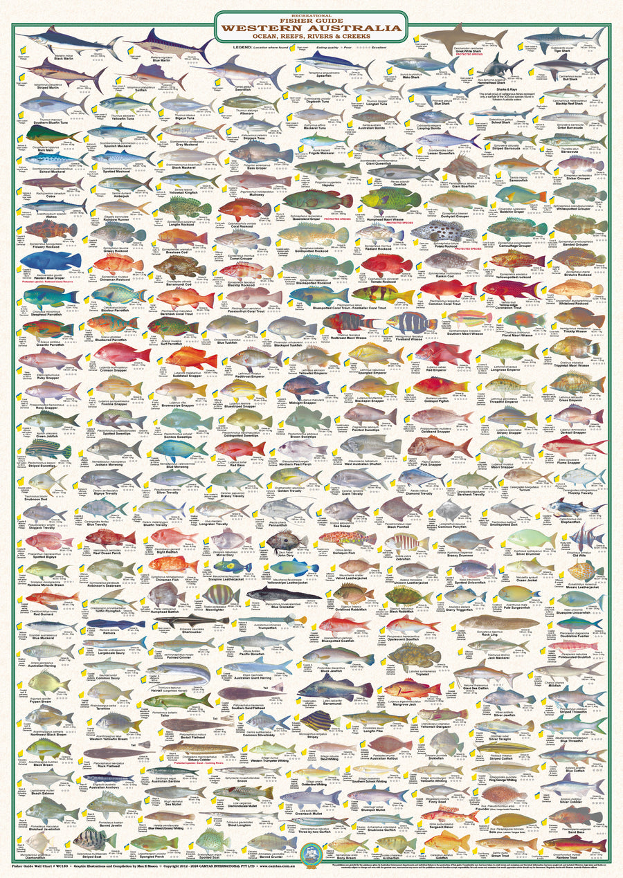 Wa Fish Guide.pdf Fish Identification - Fisher Guide Western Australia - Wall Chart (258 ...