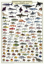 NSW Boating, Fishing, Marine Safety Chart - SOUTH WEST ROCKS to BROOMS HEAD, Coffs Harbour Region + BONUS / MC460