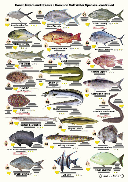 Fishers Fish Identification Cards - NSW Fisherman's Tackle Box Compani ...