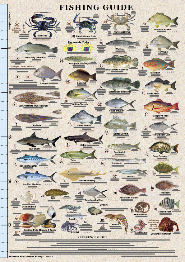 Fishing Guide Dimension Chart.pdf QLD Boating, Fishing, Marine Safety Chart - PUMICESTONE PASSAGE BG550L ...