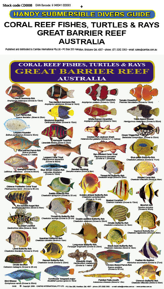 DIVERS FISH IDENTIFICATION CARD (SLATE) - Great Barrier Reef, Coral Re ...