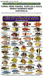 DIVERS FISH IDENTIFICATION CARD (SLATE) - Great Barrier Reef, Coral Reef Fishes, Turtles & Rays (92 Illus) / FG008