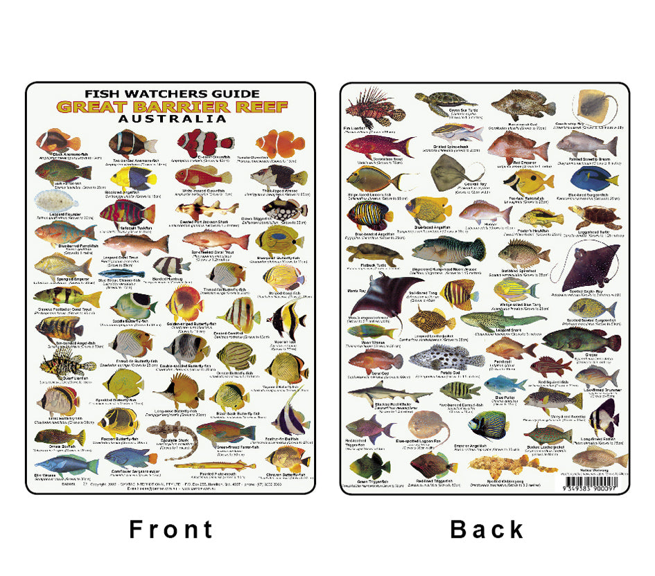 Divers Fish Identification Card (Slate) - Great Barrier Reef, Fishwatchers Guide (92 Illus.)/FG009