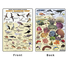 Divers Fish Identification Card (Slate) - Great Barrier Reef, Reef Watchers Guide (63 Illus.)/FG010