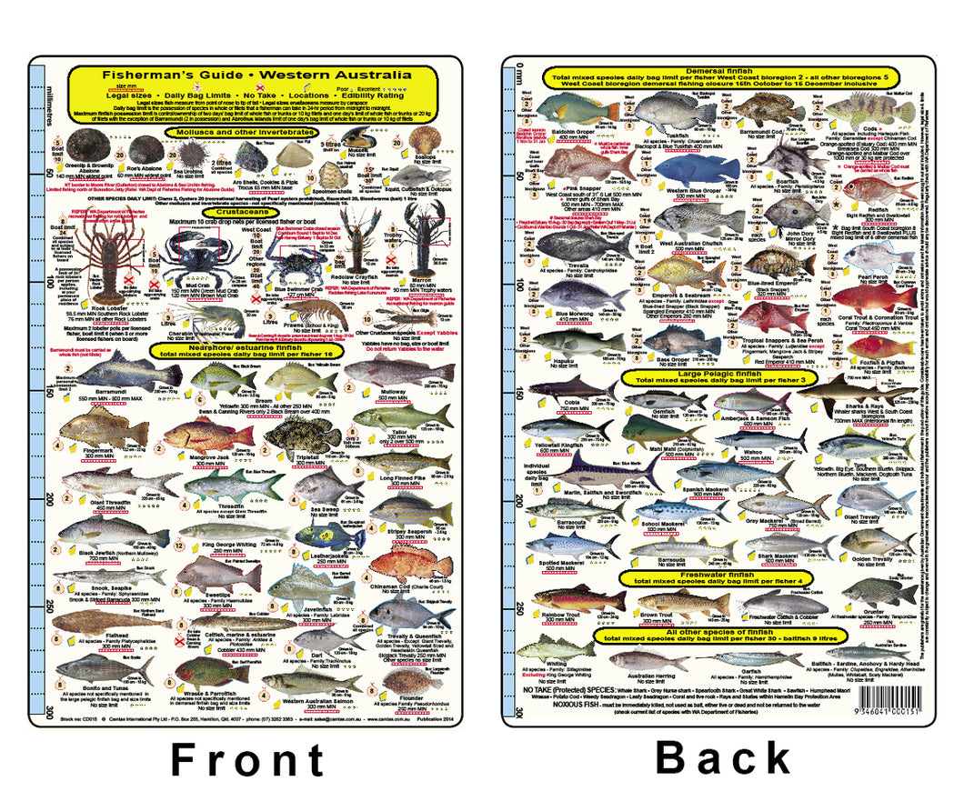 Fishermans Fish Identification Card (Slate) - Western Australia / FG015L
