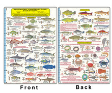Fishermans Fish Identification Card (Slate) - South Australia / FG021L