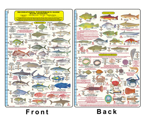 Fishermans Fish Identification Card (Slate) - South Australia / FG021L