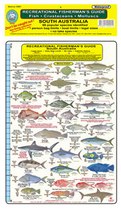 Fishermans Fish Identification Card (Slate) - South Australia / FG021L