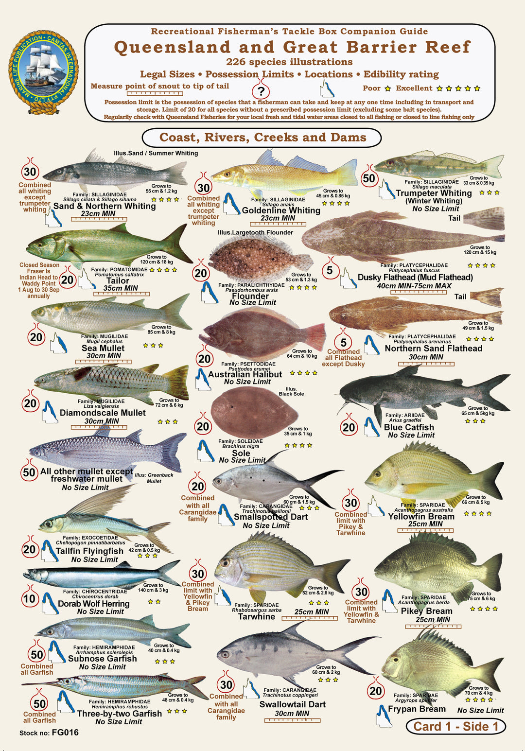 Qld Fish Measurements Fishers Fish Identification Cards (Slates) - Qld. & Great Barrier Reef ...