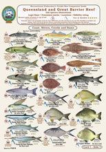 Fishermans Fish Identification Cards (Slates) - Qld. & Great Barrier Reef Fisherman's Tackle Box Companion Guide / FG016