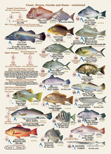 Fishermans Fish Identification Cards (Slates) - Qld. & Great Barrier Reef Fisherman's Tackle Box Companion Guide / FG016