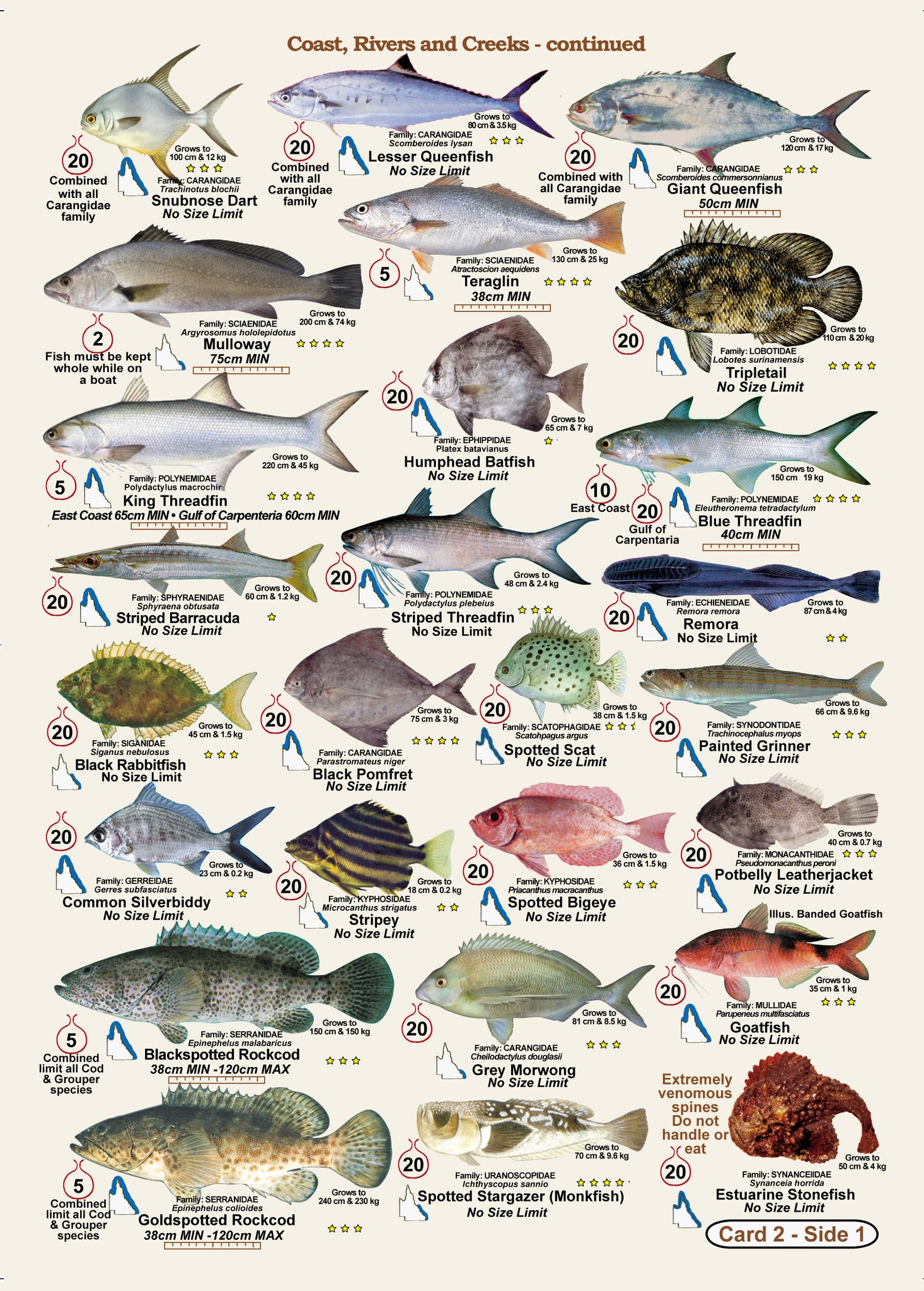 Qld Fish Measurements Fishermans Fish Identification Cards (Slates) - Qld. & Great Barrier R ...