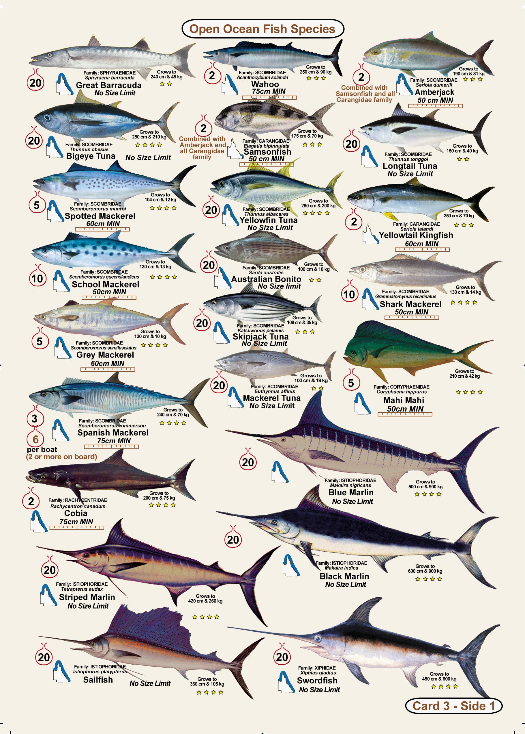 Qld Fish Measurements Fishers Fish Identification Cards (Slates) - Qld. & Great Barrier Reef ...
