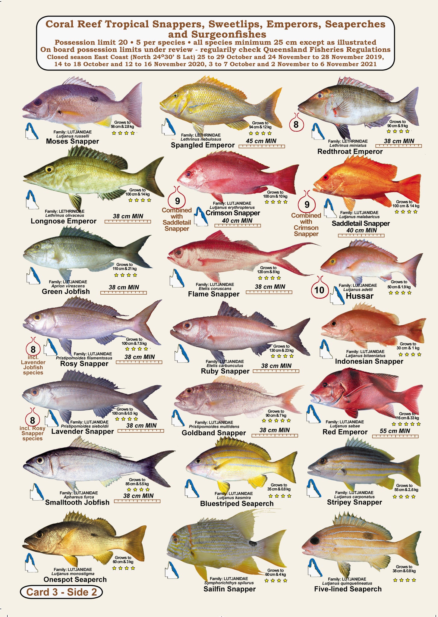 Qld Fish Measurements Fishermans Fish Identification Cards (Slates) - Qld. & Great Barrier R ...