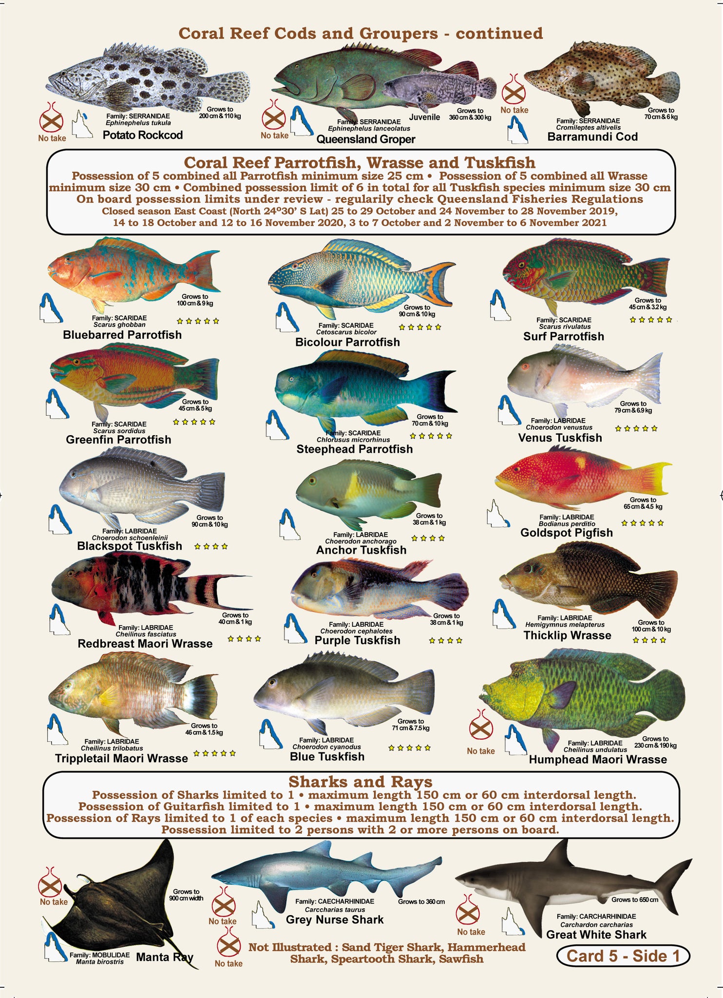 Fish Types Qld Fishermans Fish Identification Cards (Slates) - Qld. & Great Barrier R ...