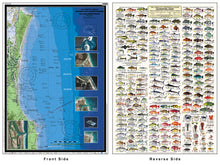 NSW / QLD Boating, Fishing, Marine Safety Chart - HASTINGS POINT to SOUTH PASSAGE, Gold Coast Offshore + BONUS/ MC520