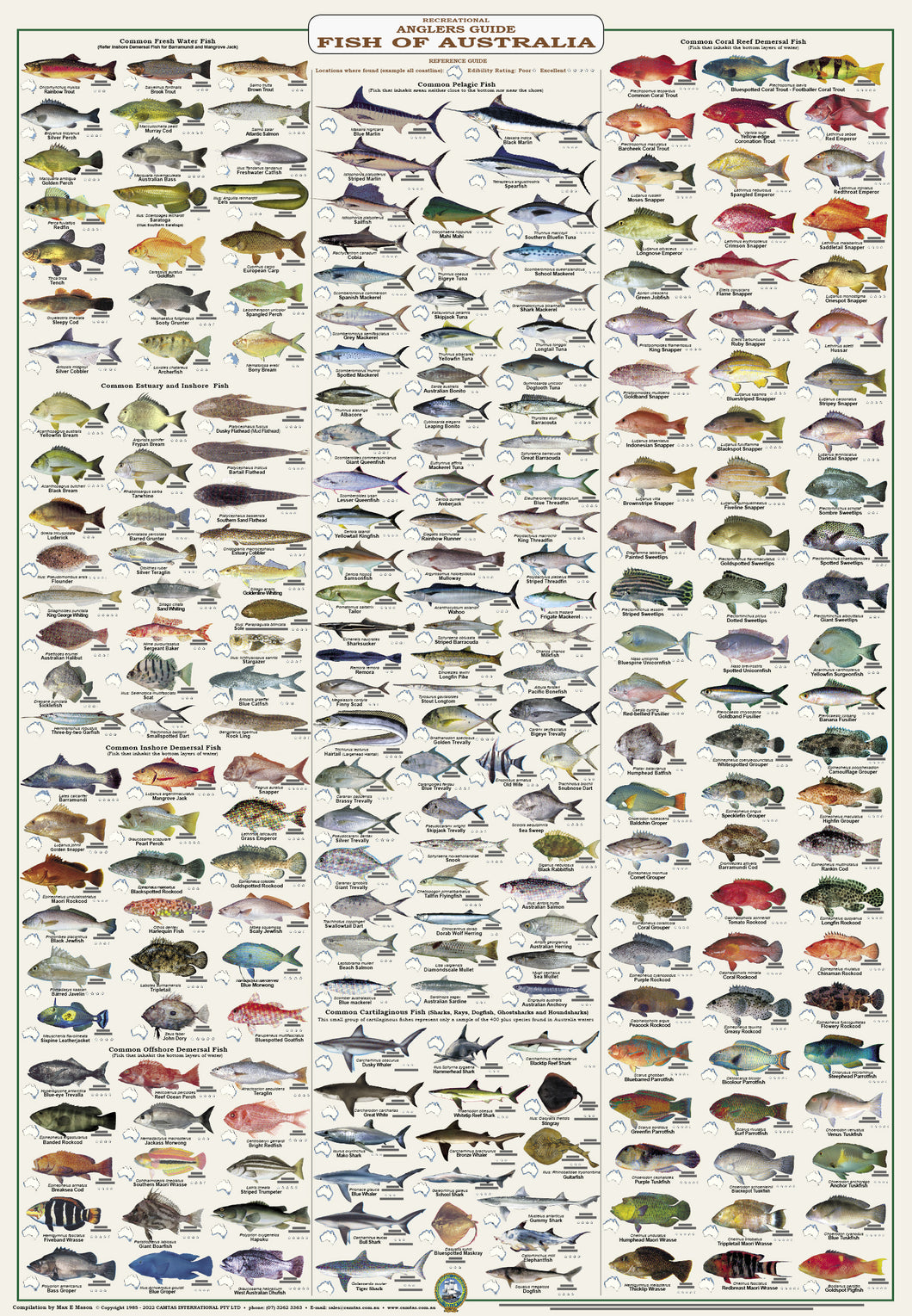 Fish Identification - Anglers Guide, Fish of Australia - Wall Chart (236 Illus.) / WC100L