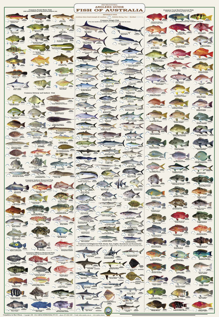 FISH & MARINE LIFE IDENTIFICATION WALL CHARTS, FIELD GUIDES & DECAL/ST ...