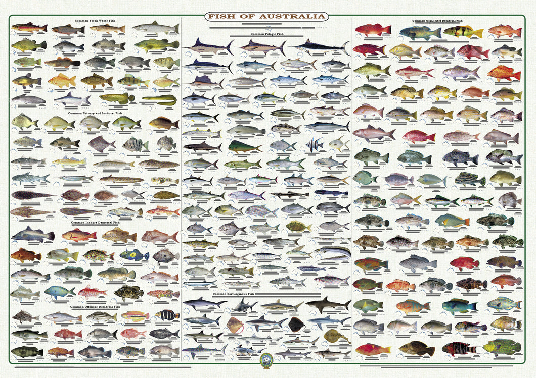 Fish Identification - Fish of Australia - Wall Chart (236 Illus.) WC10 ...