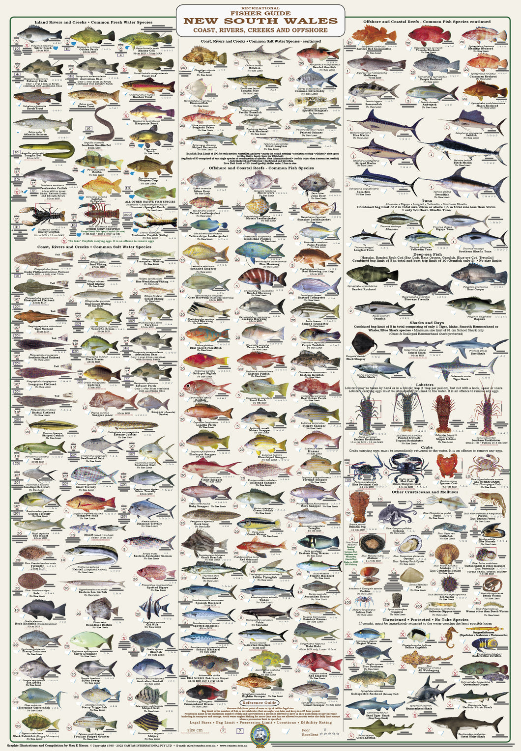 Fish Identification - New South Wales Fishers Guide - Wall Chart (222 Illus.) / WC160