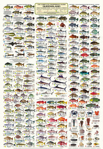 QLD Boating, Fishing, Camtas Marine Safety Chart - WHITSUNDAY to TOWNSVILLE OFFSHORE, GREAT BARRIER REEF REGION / MC670