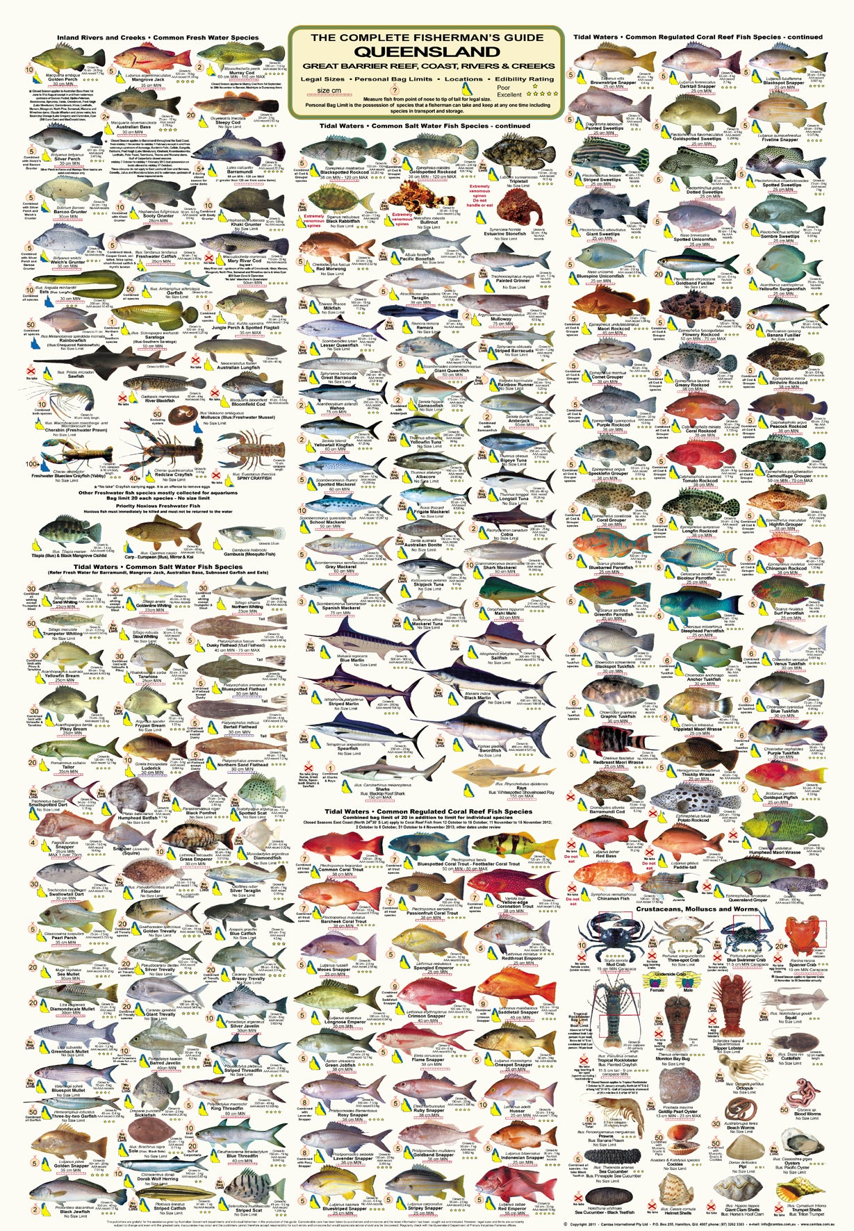 Qld Fish Measurements QLD Boating, Fishing, Camtas Marine Safety Chart - SWAIN REEFS EAST ...