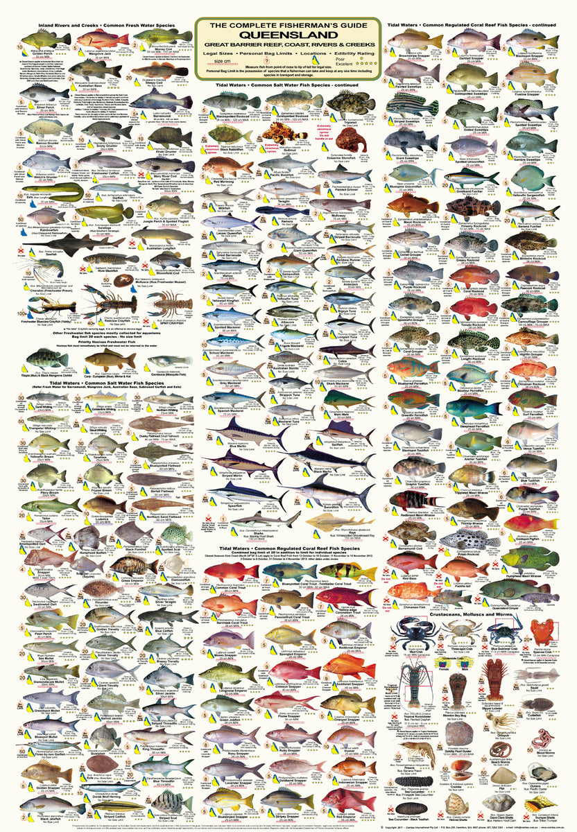 QLD Boating, Fishing, Camtas Marine Safety Chart - SWAIN REEFS EAST ...